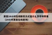 黑客24小时在线联系方式是什么意思啊苹果（24小时黑客在线查询）