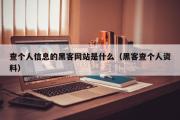 查个人信息的黑客网站是什么（黑客查个人资料）