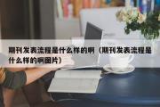 期刊发表流程是什么样的啊（期刊发表流程是什么样的啊图片）