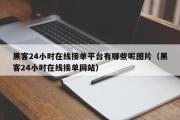 黑客24小时在线接单平台有哪些呢图片（黑客24小时在线接单网站）